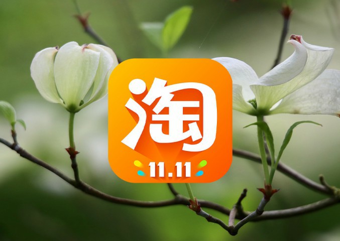 揭秘淘宝网店点击率计算方法，了解影响因素，提升转化率！